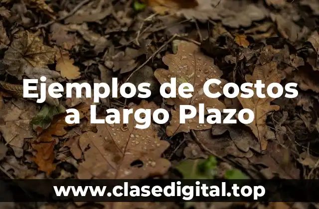 Ejemplos de Costos a Largo Plazo