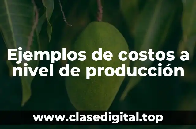 Ejemplos de costos a nivel de producción