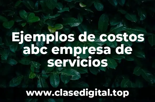 Ejemplos de costos abc empresa de servicios