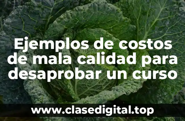 Ejemplos de costos de mala calidad para desaprobar un curso