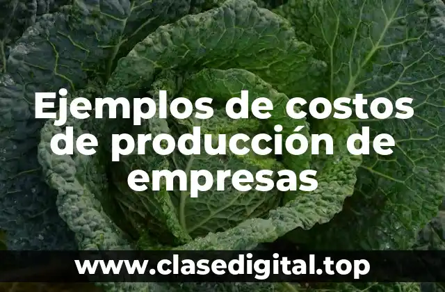 Ejemplos de costos de producción de empresas