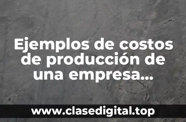Ejemplos de costos de producción de una empresa comercial y Significado