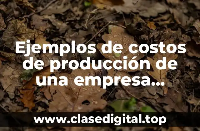 Ejemplos de costos de producción de una empresa constructora