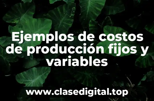 Ejemplos de costos de producción fijos y variables