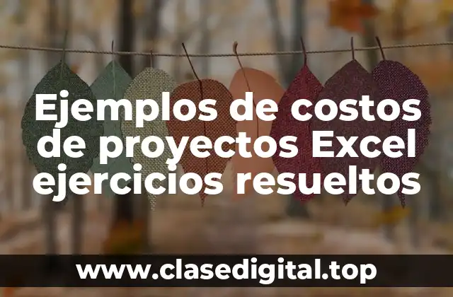 Ejemplos de costos de proyectos Excel ejercicios resueltos