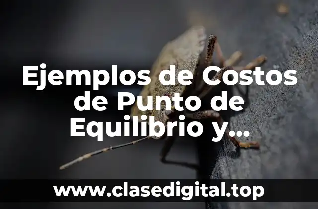 Ejemplos de Costos de Punto de Equilibrio
