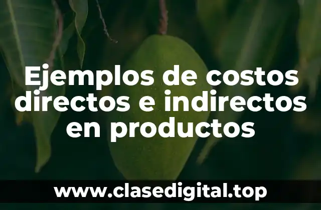 Ejemplos de costos directos e indirectos en productos