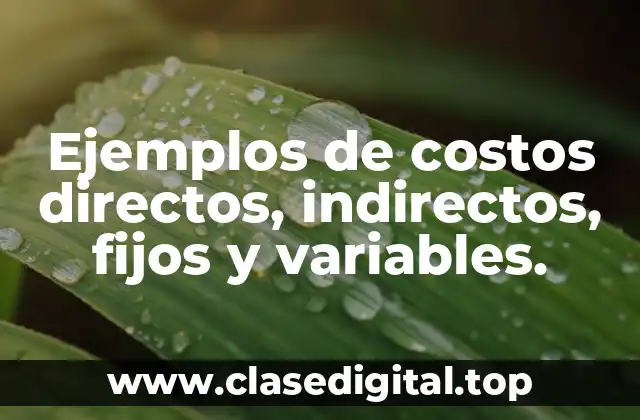Ejemplos de costos directos, indirectos, fijos y variables.