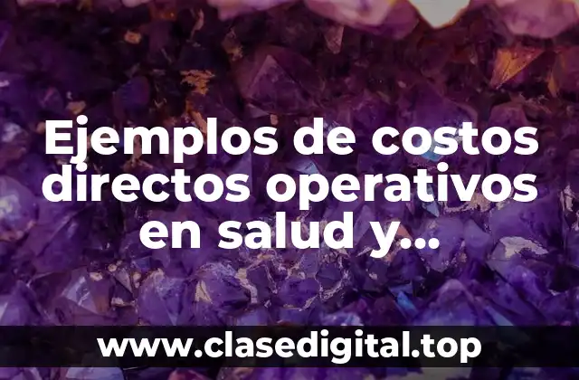Ejemplos de costos directos operativos en salud y Significado