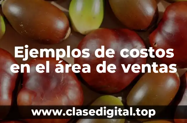Ejemplos de costos en el área de ventas