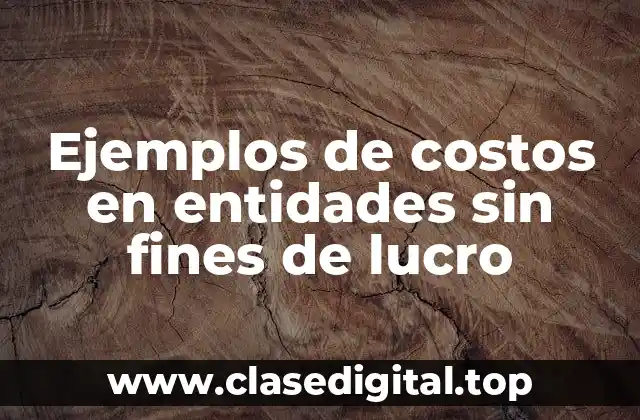 Ejemplos de costos en entidades sin fines de lucro