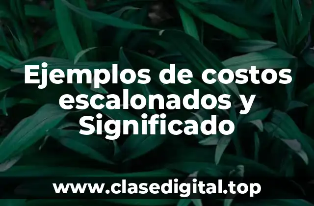 Ejemplos de costos escalonados y Significado