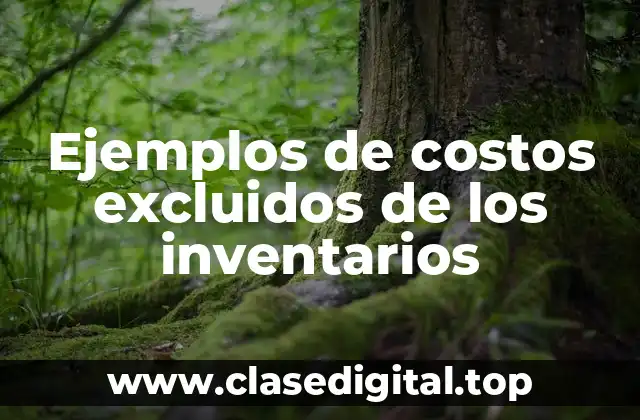Ejemplos de costos excluidos de los inventarios