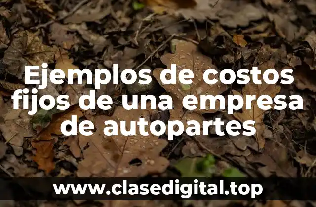 Ejemplos de costos fijos de una empresa de autopartes