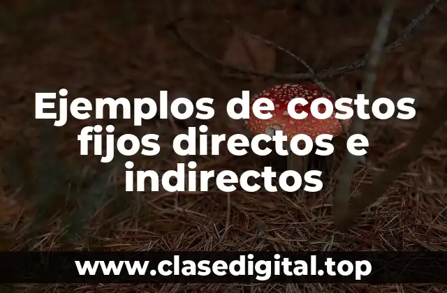Ejemplos de costos fijos directos e indirectos