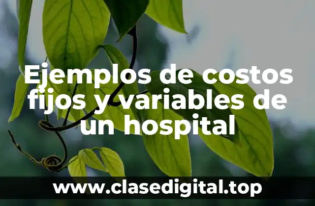 Ejemplos de costos fijos y variables de un hospital