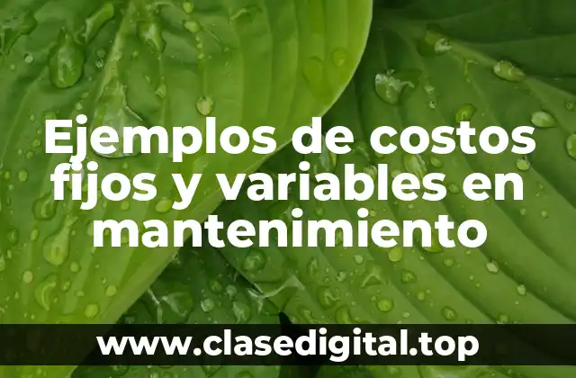 Ejemplos de costos fijos y variables en mantenimiento