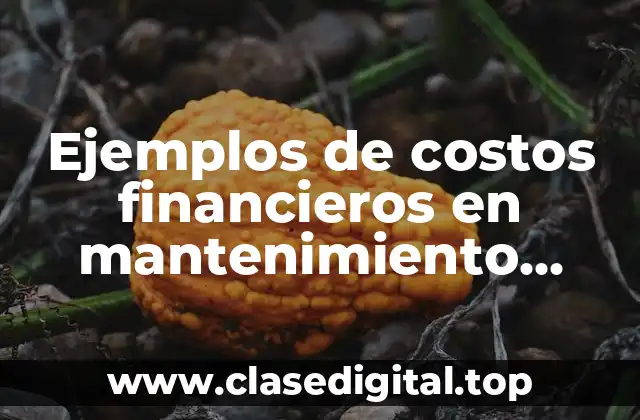 Ejemplos de costos financieros en mantenimiento industrial