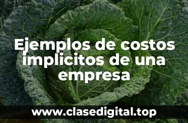 Ejemplos de costos implicitos de una empresa