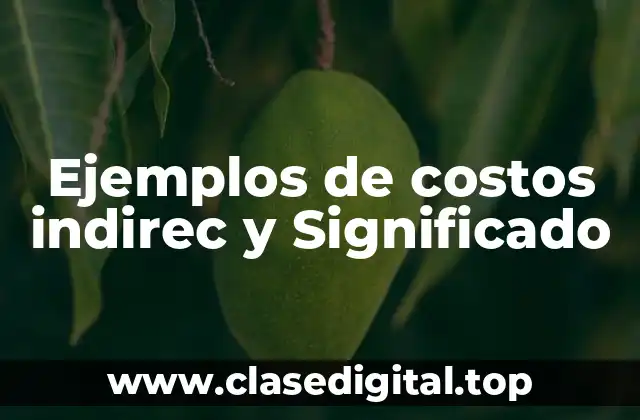 Ejemplos de costos indirec y Significado