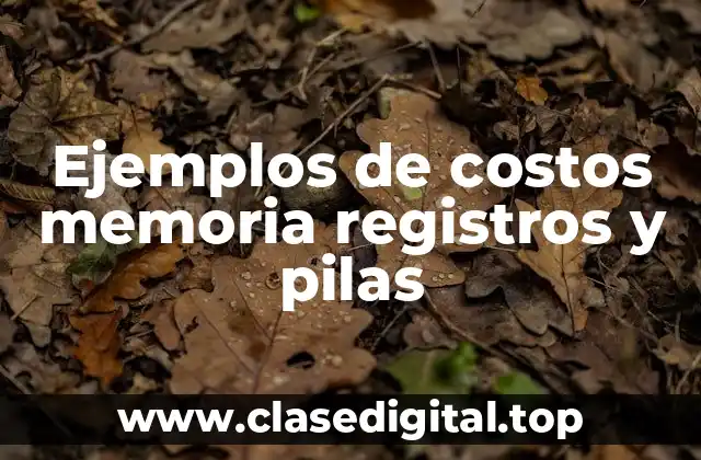 Ejemplos de costos memoria registros y pilas