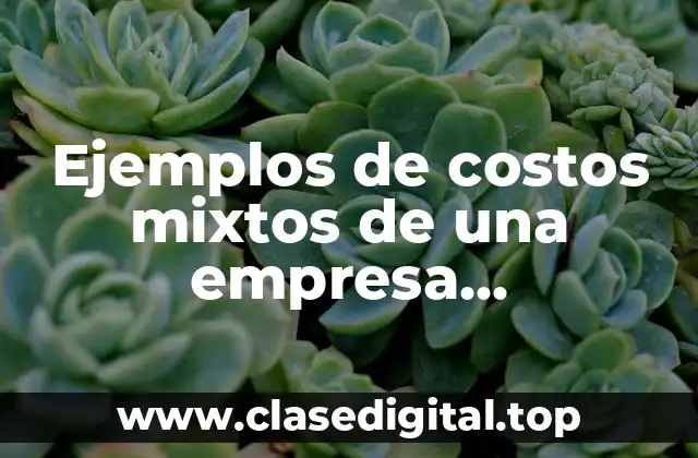Ejemplos de costos mixtos de una empresa manufacturera