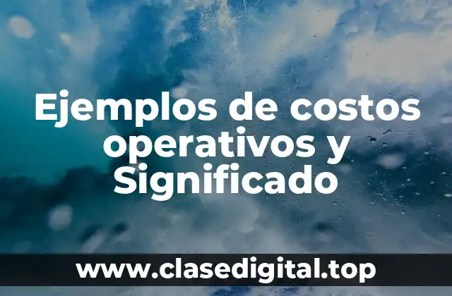 Ejemplos de costos operativos y Significado