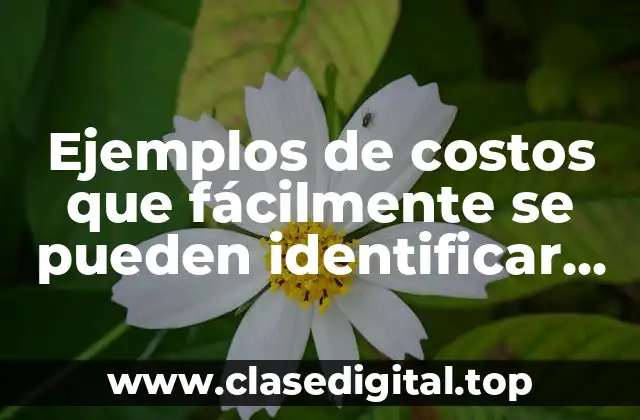 Ejemplos de costos que fácilmente se pueden identificar como