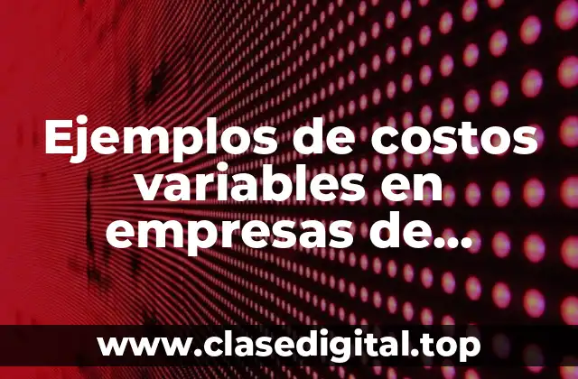 Ejemplos de costos variables en empresas de servicios y Significado