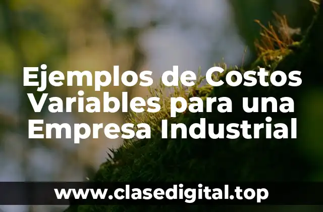 Ejemplos de Costos Variables para una Empresa Industrial