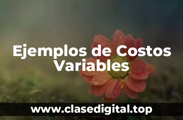 Ejemplos de Costos Variables