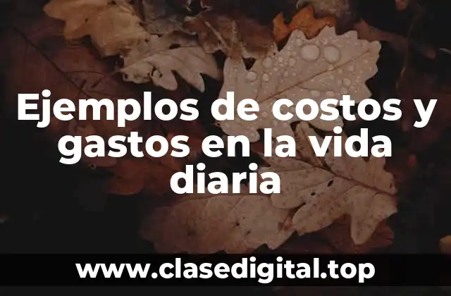 Ejemplos de costos y gastos en la vida diaria