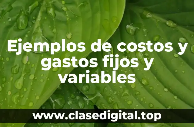 Ejemplos de costos y gastos fijos y variables