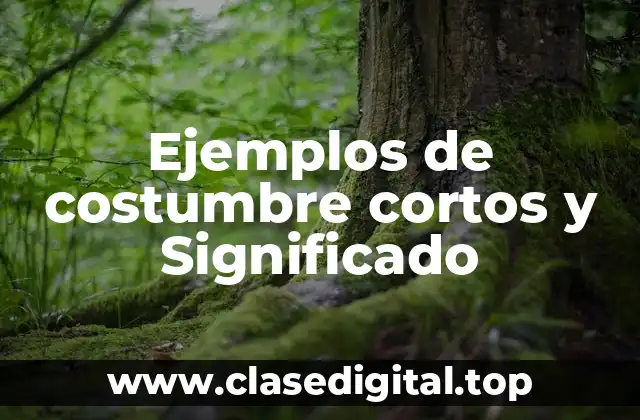 Ejemplos de costumbre cortos y Significado