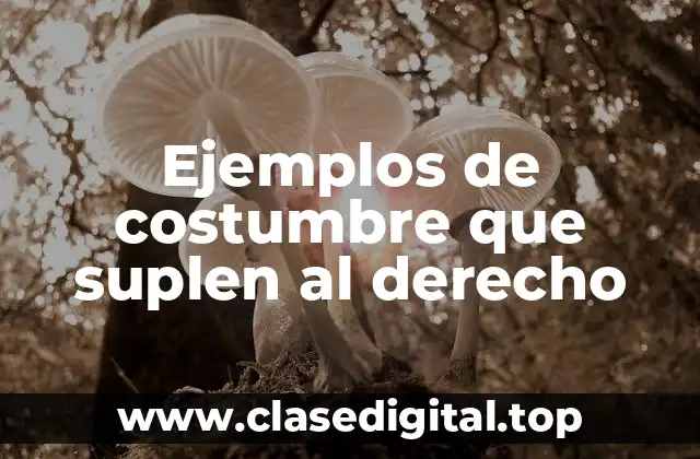 Ejemplos de costumbre que suplen al derecho