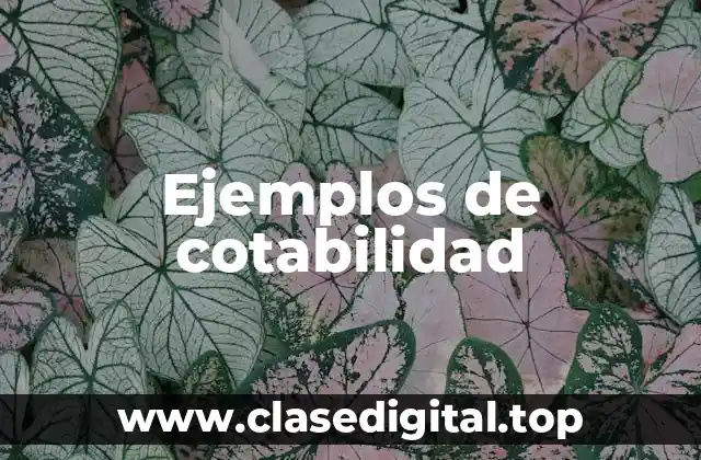 Ejemplos de cotabilidad