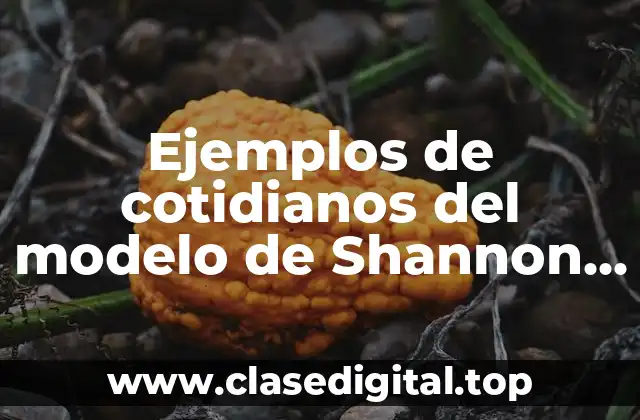 Ejemplos de cotidianos del modelo de Shannon y Weaver