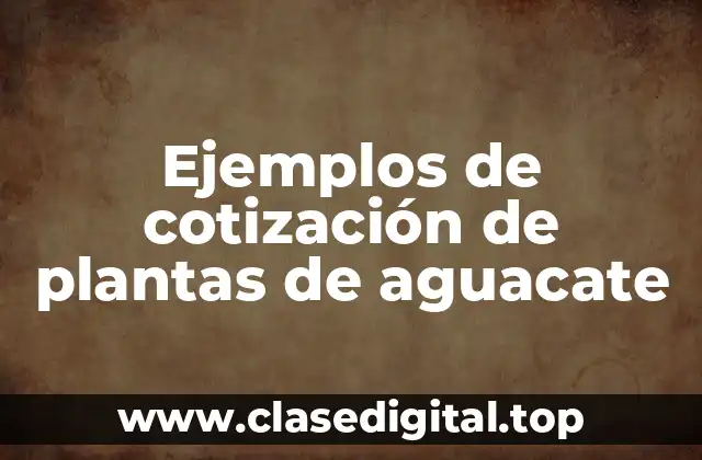 Ejemplos de cotización de plantas de aguacate