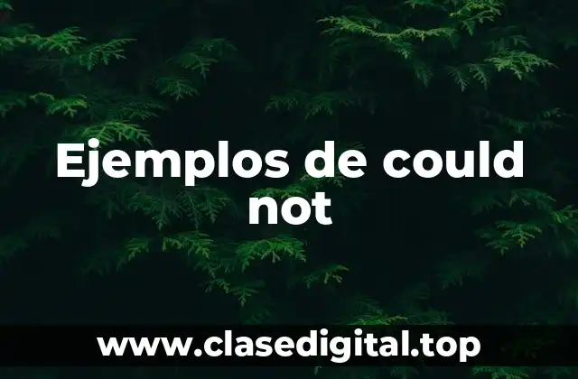Ejemplos de could not