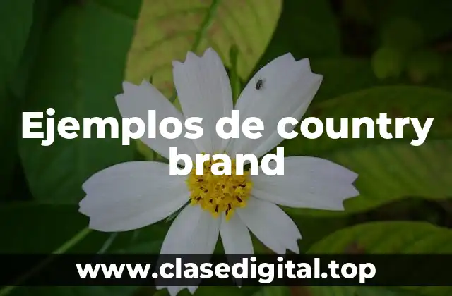 Ejemplos de country brand