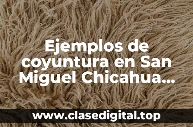 Ejemplos de coyuntura en San Miguel Chicahua Oaxaca y Significado