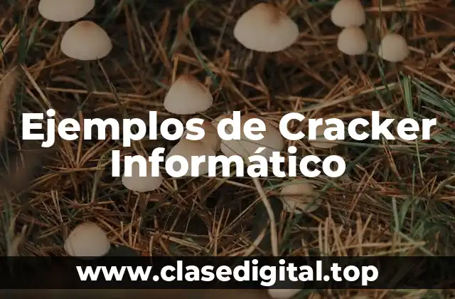Ejemplos de Cracker Informático