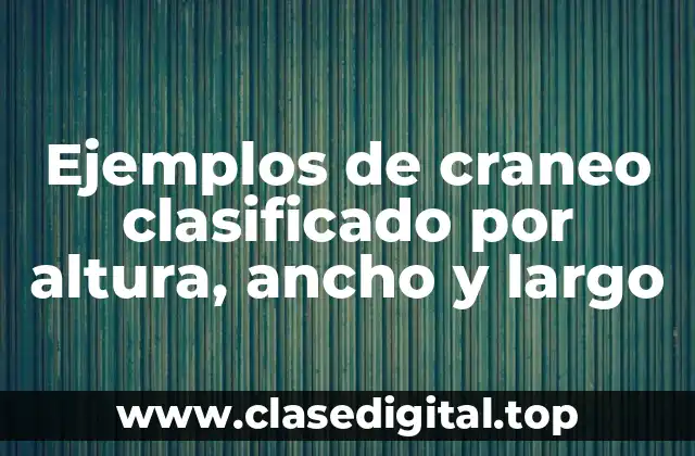 Ejemplos de craneo clasificado por altura, ancho y largo