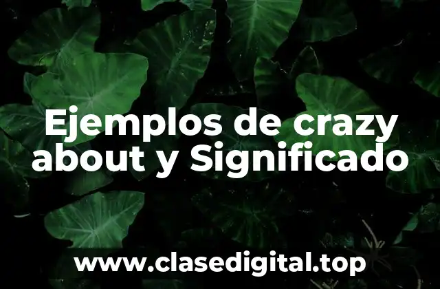Ejemplos de crazy about y Significado