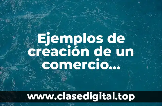Ejemplos de creación de un comercio electrónico y Significado