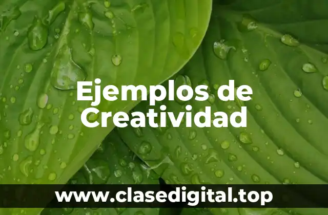 Ejemplos de Creatividad