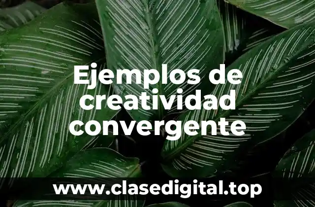 Ejemplos de creatividad convergente