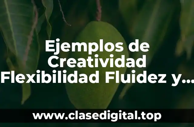 Ejemplos de Creatividad Flexibilidad Fluidez y Orientación