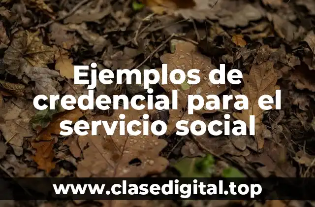 Ejemplos de credencial para el servicio social