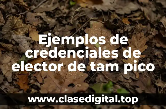 Ejemplos de credenciales de elector de tam pico